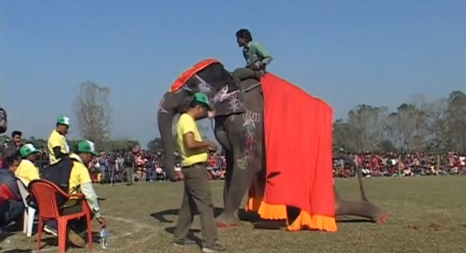 elefantfestival, Elefanter, Nepal, Skönhetstävling
